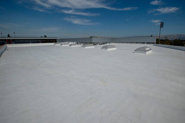 Emergency Roof Repair in Pimlico, SC